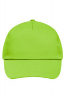 Lime (ca. Pantone 7487C)